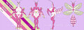Orchid Mantis Adopt