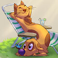 summertime catdog