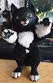 Little Balto - Version 2