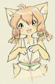 an important thing about hexefoxen is
