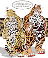Leopard VS Jaguar