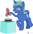 Happy Birthday Nova!