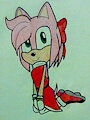 Amy Doodles