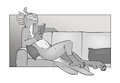 Couch and a Book