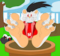 Noleman feet