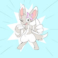 drilcino fusion 4