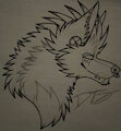 Chaos Sketch.