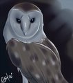 Night Guardian  by FallenSkylark