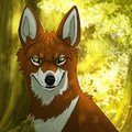 Prince Avoyel by LostWolfSpirit