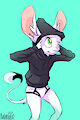 Hooded Briefs