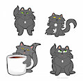 Dumb Cats! Stickers