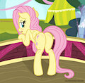 MLP Fluttershy PLOT by FluttershyFanN80085