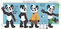 Paco Panda Ref Sheet by pandapaco