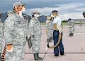 Morning Inspection Blues