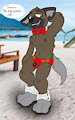 Haida