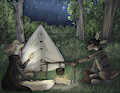 Campfire by CatSidheSilvie