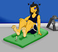 Macro workout