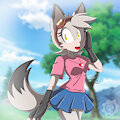 Comisión de Sonic Amino