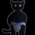 Kitty
