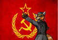 For the Regime!