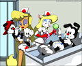 Diaper Nurses