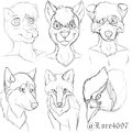 Animal Sketch Page