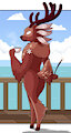 Gwen The Deer