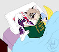 Night Time Stories