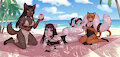Purrfect Paradise