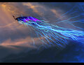 Force by PlagueDogs123