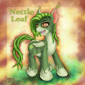 Nettle Leaf