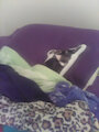 My Baby's Spot