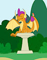Birdbath
