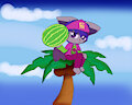 Geemo Fruit Bat