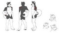 Mikita Husky Reference Sheet (Colors Only) by RaikosTheWusky