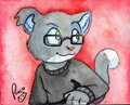 Shadycat