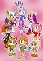 Sonic Girls 