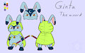 Ginta the Wizard