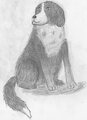 A Random Dog by TiifuNdona