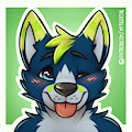 Setox The Fox