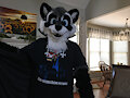 vampre of raccoon by BrisketRingtail