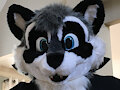 The cute face of the prince of darkness by BrisketRingtail