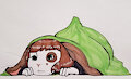 Syd's blanket