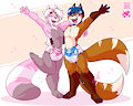 [⚡] - FRIENDLY SWAP