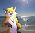 My Face in down there ;3