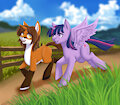 Walk with Twilight Sparkle
