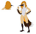 Sela the Rufus Hummingbird by Velociripper