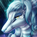 Icon Comish - Cold Beauty