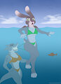 Shark Attack