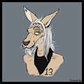 old biker roo